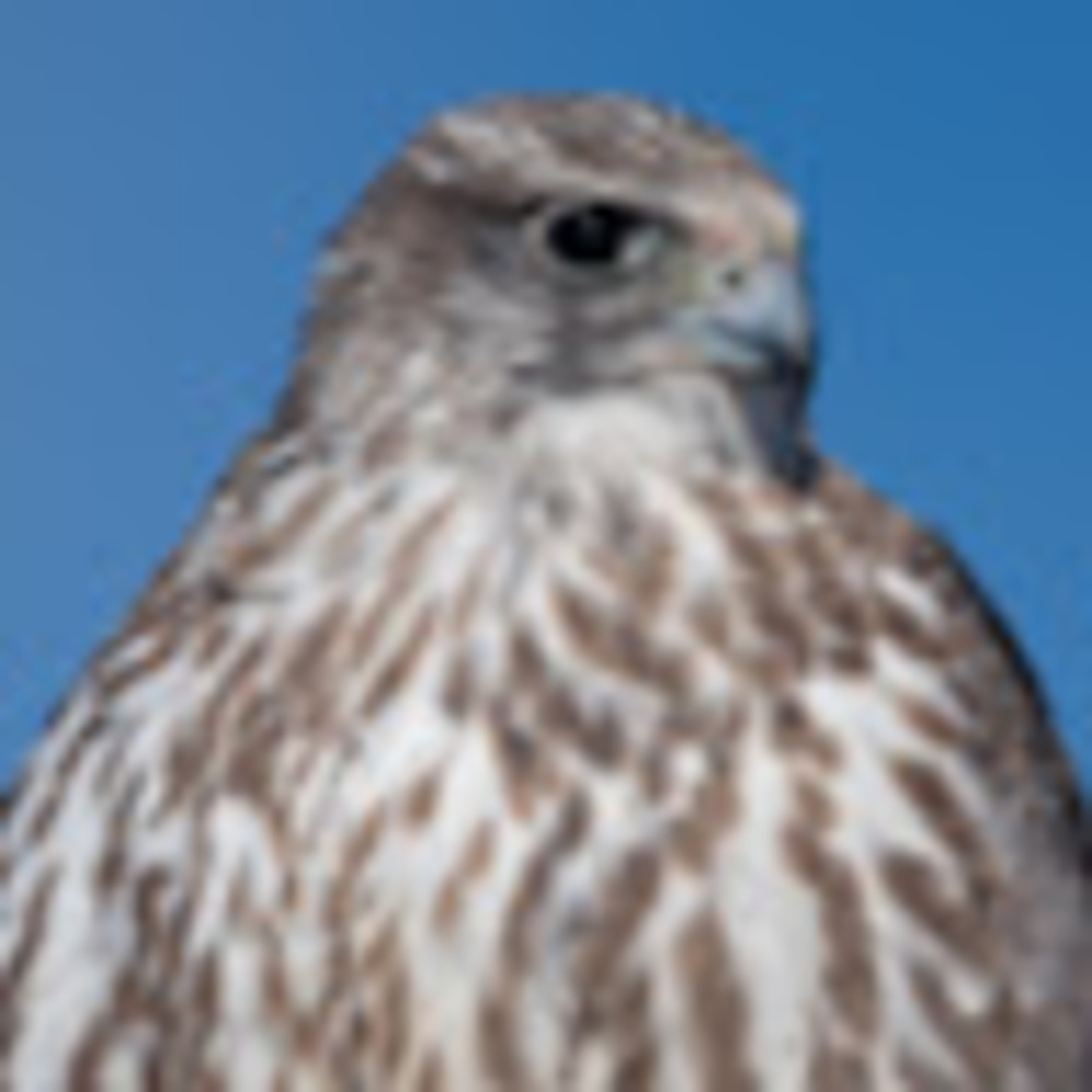 Meet your Posher, John